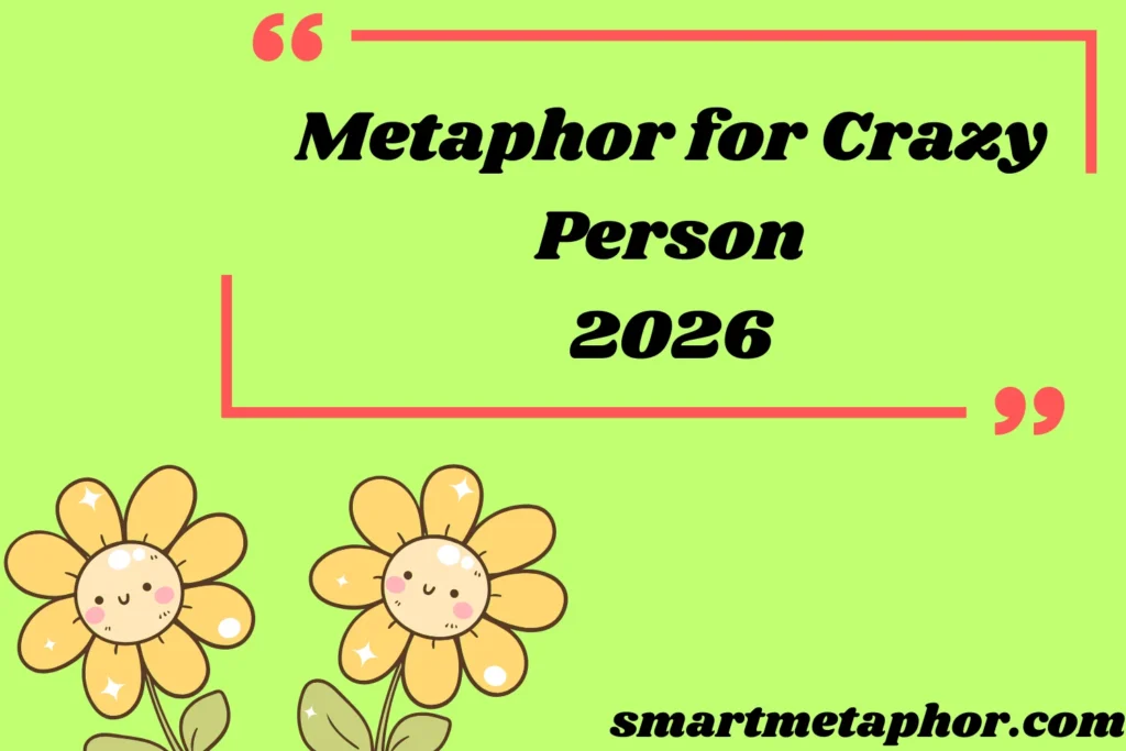 Metaphor for Crazy Person