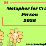Metaphor for Crazy Person