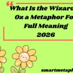What Is the Wizard of Oz a Metaphor For Full Meaning