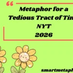 Metaphor for a Tedious Tract of Time NYT