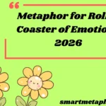Metaphor for Roller Coaster of Emotions