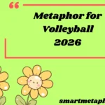 Metaphor for Volleyball