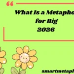 What Is a Metaphor for Big