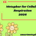 Metaphor for Cellular Respiration