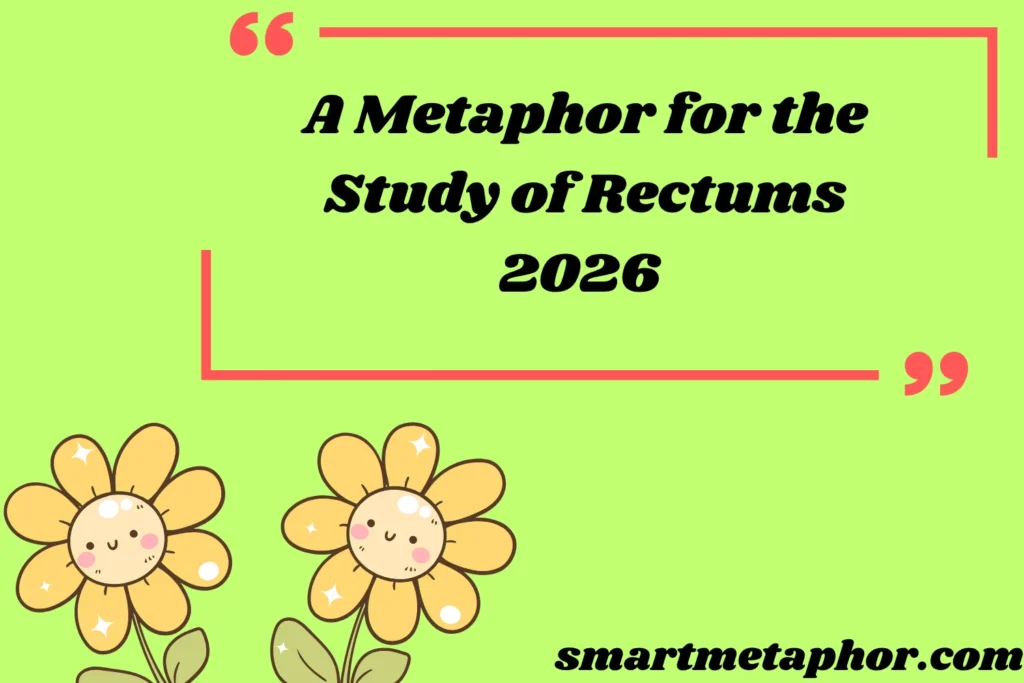 A Metaphor for the Study of Rectums
