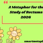 A Metaphor for the Study of Rectums