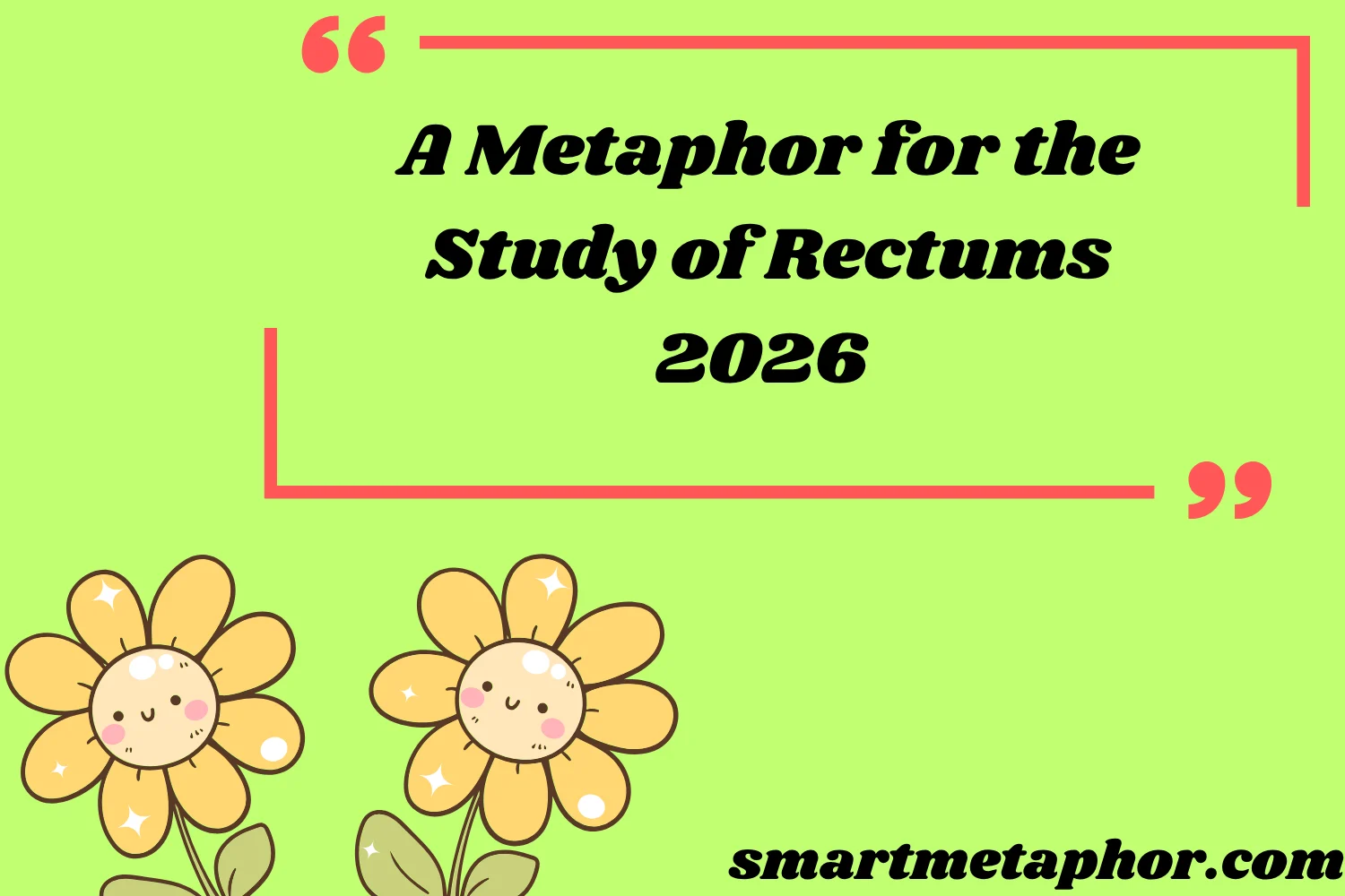 A Metaphor for the Study of Rectums