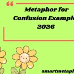 Metaphor for Confusion Examples