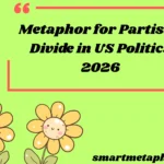 Metaphor for Partisan Divide in US Politics