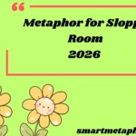 Metaphor for Sloppy Room