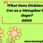 What Does Dickinson Use as a Metaphor for Hope?