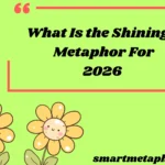 What Is the Shining a Metaphor For