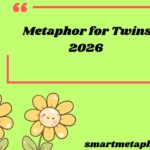 Metaphor for Twins