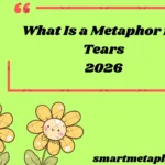 What Is a Metaphor for Tears
