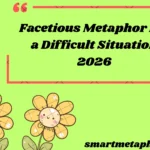 facetious metaphor for a difficult situation