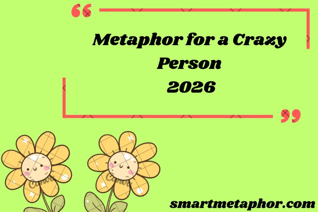 Metaphor for a Crazy Person