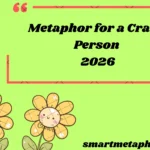Metaphor for a Crazy Person