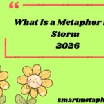 What Is a Metaphor for Storm
